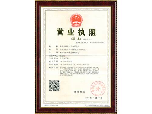 營(yíng)業(yè)執照 營(yíng)業(yè)執照